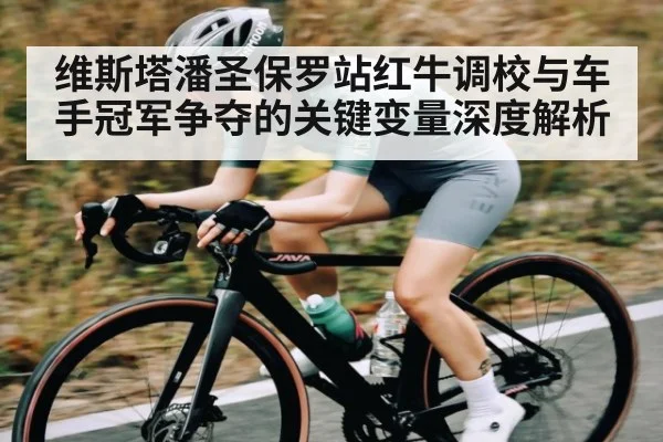 维斯塔潘圣保罗站红牛调校与车手冠军争夺的关键变量深度解析